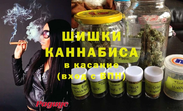 spice Дмитров