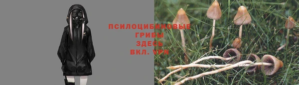 spice Дмитров