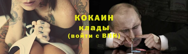 стафф Дмитриев