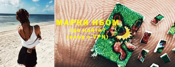 стафф Дмитриев