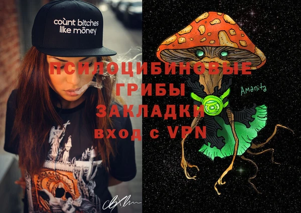 стафф Дмитриев