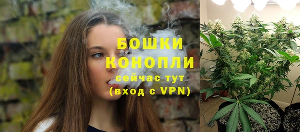 spice Дмитров