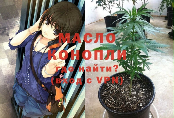 сатива Зеленокумск