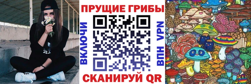 Галлюциногенные грибы мухоморы  Ельня 